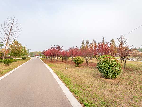 南泉河河道治理及绿化工程