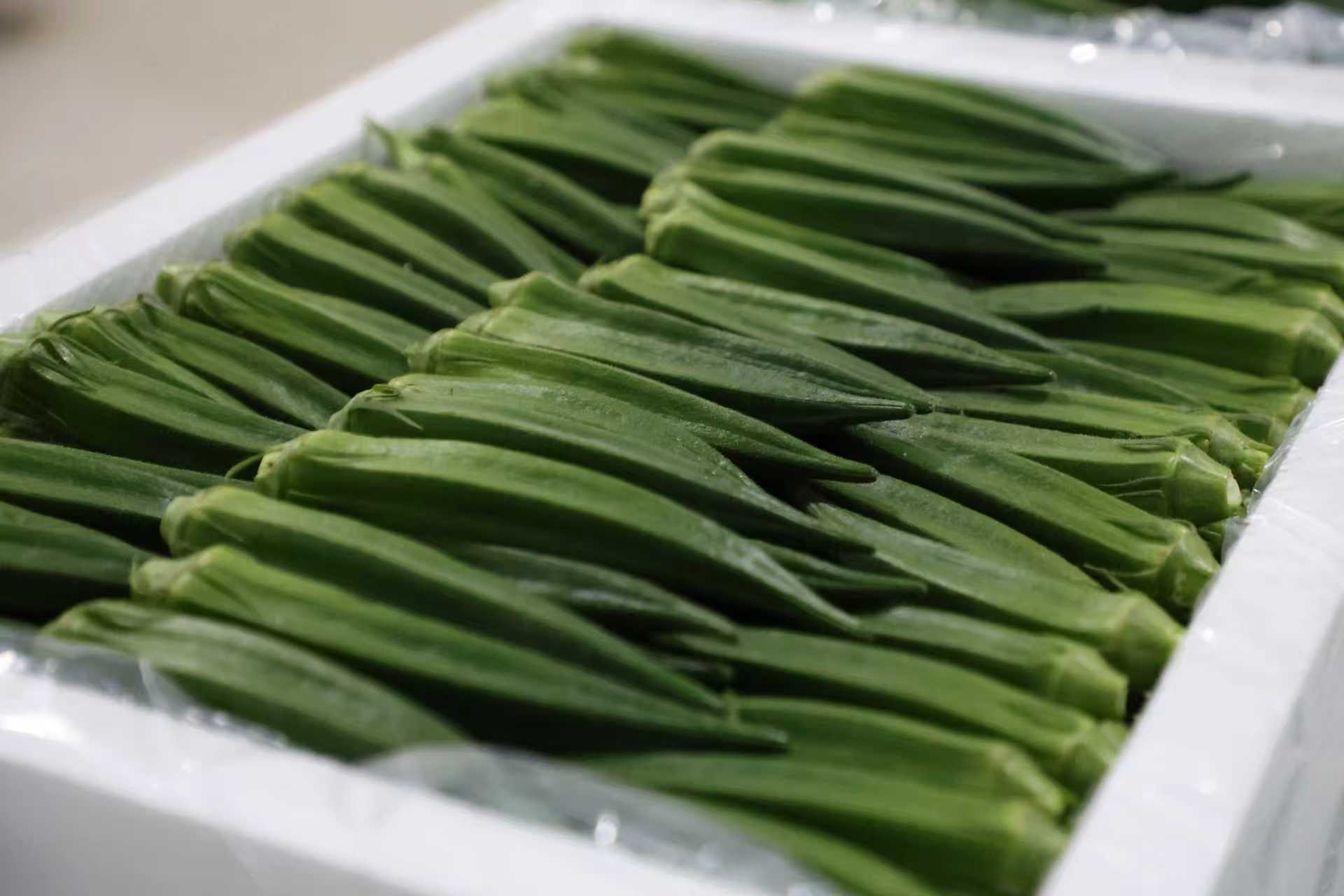 华翔农场秋葵特写