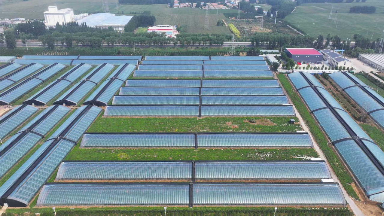 华翔农场大棚区航拍